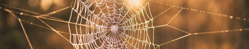 WebAssembly roundup part 1: webR 0.4.2