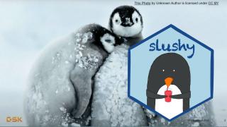 {slushy}: A Bridge to the Future - posit::conf(2023)